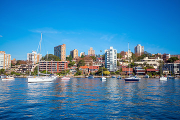 Fototapeta premium Downtown Sydney skyline