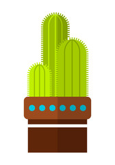 Cactus, succulent. Flat color icon, illustration of potted plant isolated on white background. Object for design