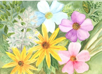 цветы акварель