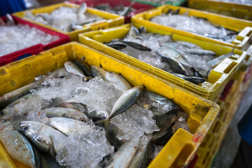 Fototapeta na wymiar Fishes in Tac Cau fishing port, Me Kong delta province of Kien Giang, south of Vietnam