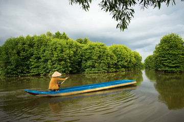 Mangrove forest with fishing boat in Ca Mau province, Mekong delta, south of Vietnam
