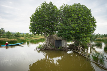 Obraz premium Landscape of Mekong delta with mangrove tree, floating house and rowing boat in Ca Mau province, Mekong delta, south of Vietnam