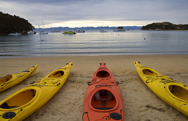 Fototapeta premium Golden Sand Beach New Zealand