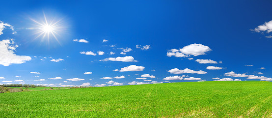 Obraz na płótnie Canvas spring rural landscape with field and blue sky, a panorama