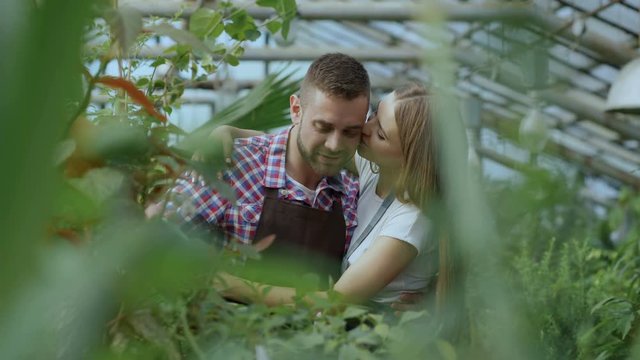 Cheerful woman embrace and kiss husband watering flowers with garden pot. Happy young florist couple in apron working in greenhouse