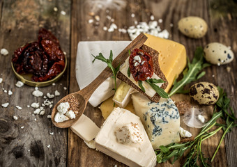 Different types of cheese composition