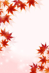 紅葉　　秋　風景　背景 