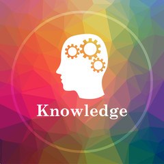 Knowledge icon