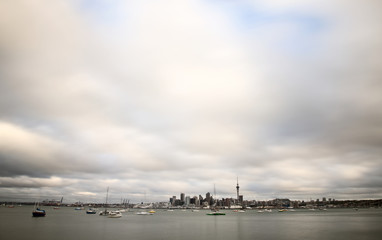 Fototapeta premium Auckland New Zealand