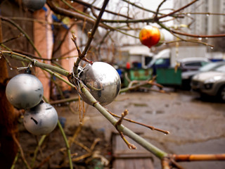 Christmas ball on the tree in spring, Moscow