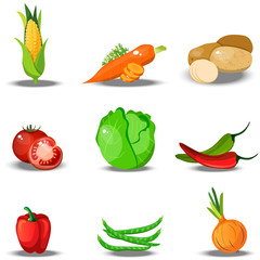 set with fresh healty vegetables