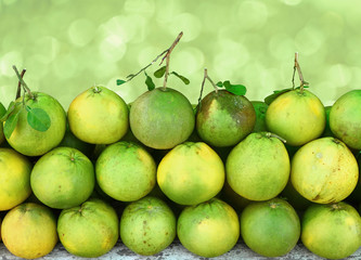 Grapefruit or pomelos fruit with leaves