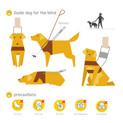 guide dog for blind 