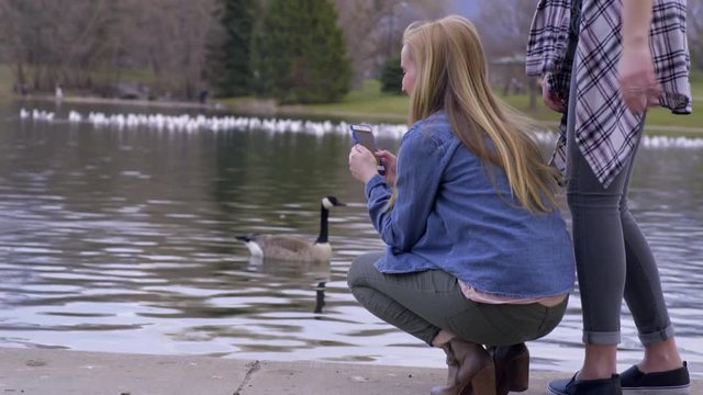 Teen Kneels Down To Take Photos Of Swimming Geese, Looks Around At Flock In Air, Her Friend Pats Her Head And She Laughs