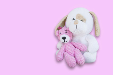 Isolated pink bear doll sitting on white dog doll/toy on pink background