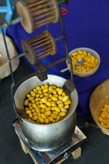 golden yellow cocoon silkworm process to silk thread textile