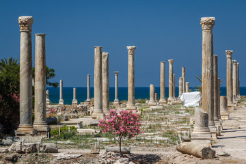 Ruins of the Roman city in Tyre, Lebanon - obrazy, fototapety, plakaty