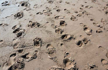 Texture of sand and footprints in the sand on the beach. Summer Vacation Concept.