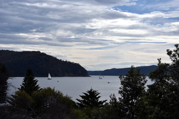 Fototapeta na wymiar West Head lookout on the other side of the bay. Yach sailing on the water. View from Palm beach.