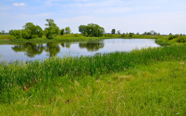 Fototapeta premium Landscape with the small lake. Plesia