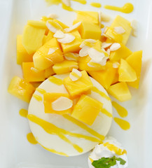 Mango cheesecake on white plate