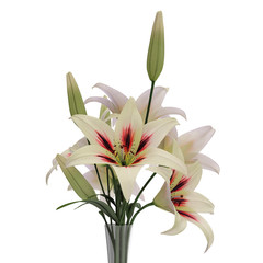 White Lily Vase on white. 3D illustration