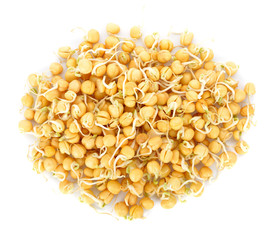 snow pea sprouts isolated on white background