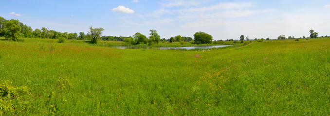 Fototapeta premium Panorama. Landscape with meadow and small lake. Plesia
