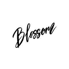 Blossom spring concept lettering