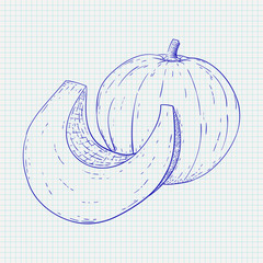 Pumpkin. Hand drawn sketch on notebook sheet background