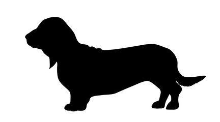 Vector silhouette of dog on white background.