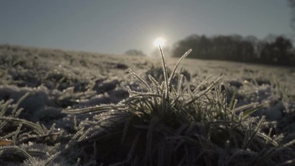 Winter frozen ground on sunny morning background