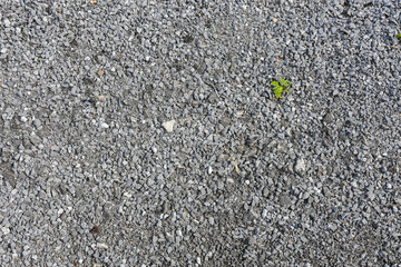 road