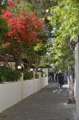 Rues de Pythagorion (Samos)