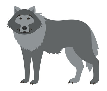 Cute smiling wolf vector cartoon illustration. Wild zoo animal icon. Big gray shaggy adult predator standing. Isolated on white. Forest fauna childish character. Simple flat design element. Side view