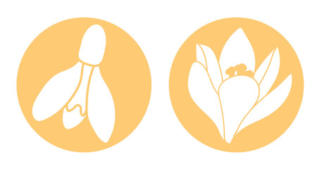 Spring flower flat icon. Snowdrop flower in orange circle. Vector illustration