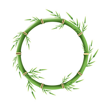 fresh bamboo leaves round decoration, botanical zen forest, tropical spa vector illustration