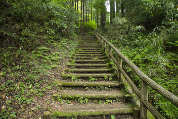 The stairs to the Hakone Old Tokaido Road