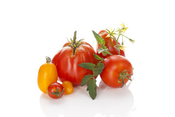 Fresh tomatoes on white background