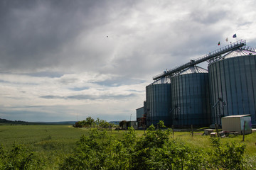 Silos on the field. Grain Storage Bins