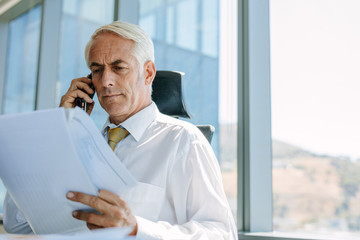 Senior male entrepreneur working at his office