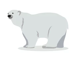 Foto op Canvas Polar Bear Cartoon Flat Vector Illustration © robu_s