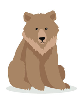 Brown Bear Cartoon illustration in Flat Design