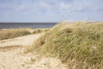 Dünenlandschaft,  Cuxhaven, Nordsee, Niedersachsen, Deutschland