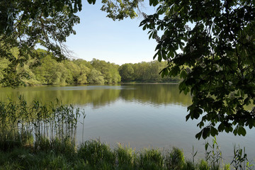 jungfernheidesee
