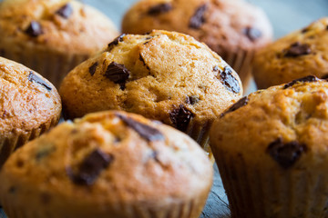 Homemade muffins with chocolate chips