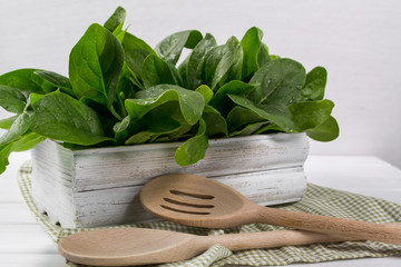 Fresh garden spinach in wooden  box on  white table.