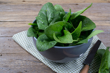 Fresh garden organic spinach in bowl  on rustic background ready for salad. Vintage still life