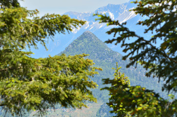 Ormanla Çevrili Dağlar