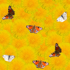 Seamless spring background with dandelions and Butterflies